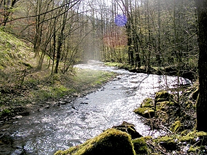 Niederbreitbach